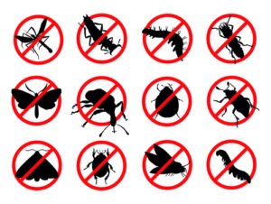 A set of twelve different red and black signs with bugs.